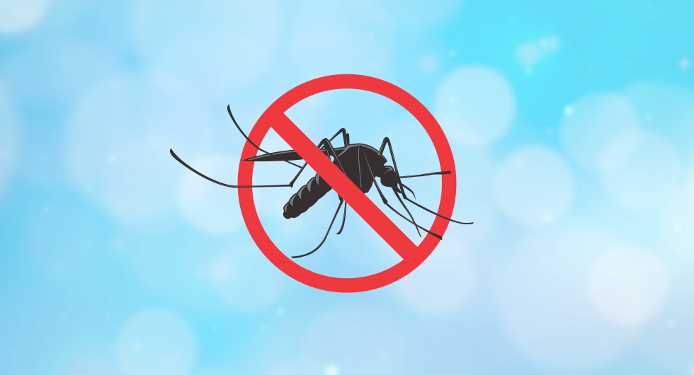 DENGUE – É possível aumentar suas defesas contra a dengue usando medicamentos homeopáticos?